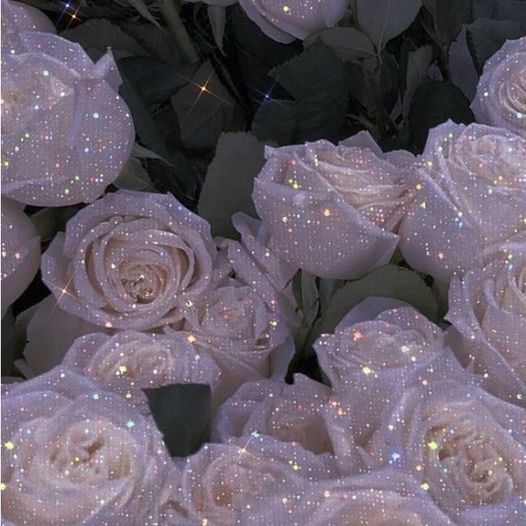 ✨Welcome to my closet✨ - Picture 1 of 1